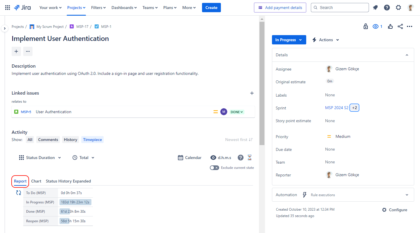 Issue View Report.png